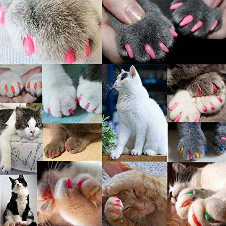 VICTHY 140pcs Cat Nail Caps Colorful Pet Cat Soft Claws Nail Covers for Cat Claws with Glue and Applicators Medium Size