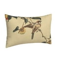 thumbnail image 2 of Balery Vintage Bird Bedding Queen Pillow Cases - Envelope Closure - Soft Brushed Microfiber Fabric - Shrinkage and Fade Resistant Pillow Cases-20"x30", 2 of 9