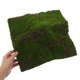 thumbnail image 2 of GOOHOCHY Césped artificial cuadrado: césped de musgo artificial de 30 x 30 cm, alfombra de musgo realista para bricolaje en interiores y exteriores., 2 of 8