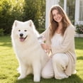 thumbnail image 6 of 3-in-1 Pet Grooming Mist Comb, Professional Undercoat Rake for Long Haired Dogs and Cats, Gentle Detangling Spray Thinning Brush, Dematting Tool for Loose Fur Shedding, 1-Pack, 6 of 8