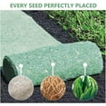 Grass Seed Mat Roll OIF8 Biodegradable Lawn Seed Mat Backyard Plant