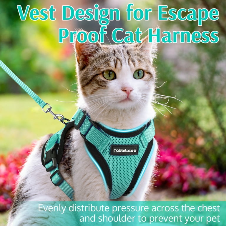 rabbitgoo Cat Harness and Leash for Walking, Escape Proof Soft Adjustable  Vest Harnesses for Cats, Easy Control Breathable Reflective Strips Jacket