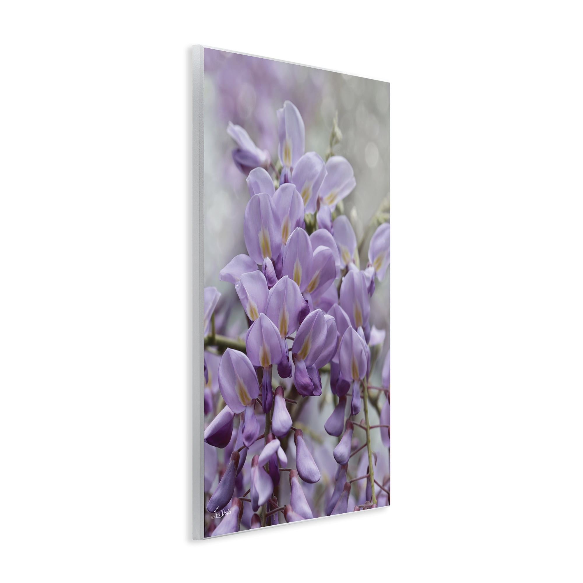 Stupell Industries Purple Orchid Petals Plants & Flowers Photography Unframed Art Print Wall Art, 13 x 19