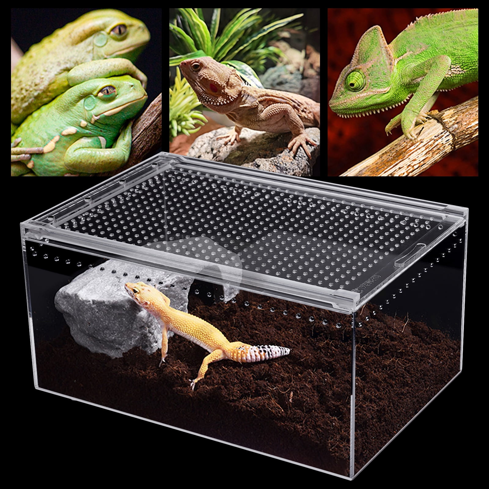 Buy Reptile Feeding Box Portable Small Snake Terrarium Habitat Mini Pet