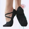 thumbnail image 4 of 1 Pair of Non-slip Ballet Shoes Full Stretch Sole Shoes Professional Dancing Shoes for Adults Practice Professional Performance (Black, Size 40), 4 of 4