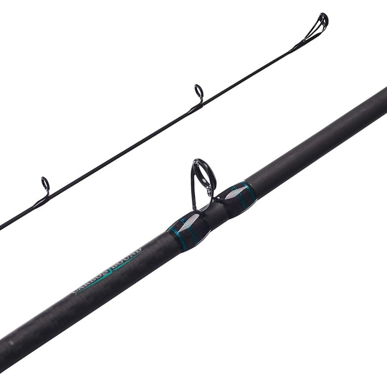 Fenwick Elite Inshore Casting Rod Fenwick Hmg Baitcaster Rod