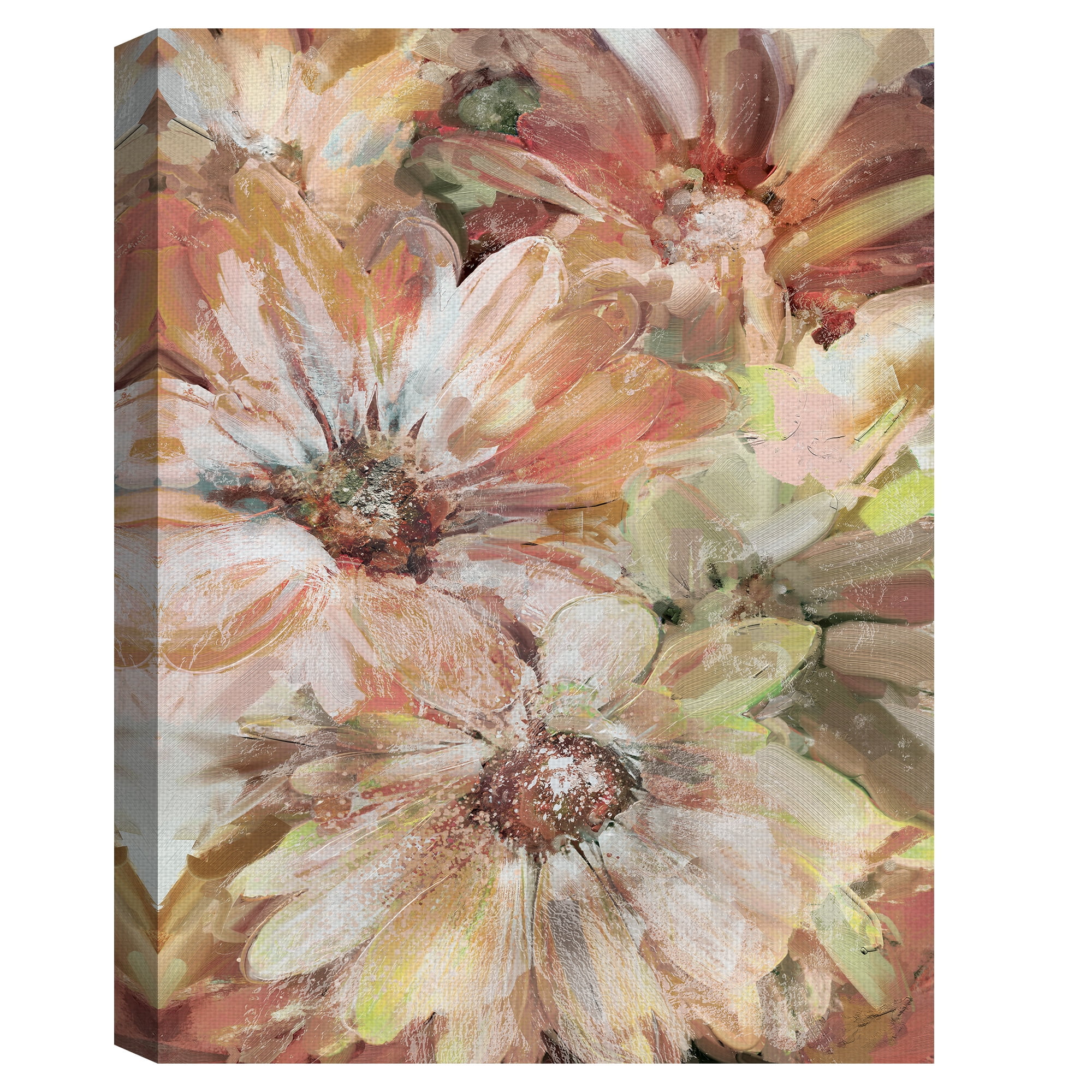 Masterpiece Art Gallery Precious Daisies Pink By Studio Arts Canvas Art Print 18" x 24"