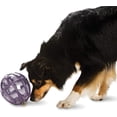 thumbnail image 1 of Dispensador de croquetas PetSafe Busy Buddy para perros, 1 of 1