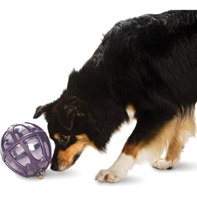 Dispensador de croquetas PetSafe Busy Buddy para perros