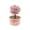 Red, variant on DIY Growing Kit Grow Trees in 24 Hours Educational Craft Kit with 1 colorful Growing Powders 1 1 Stir Sticks 1 measuring cups and 1 instruction manual Craft Kits(Clear)