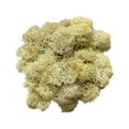 thumbnail image 1 of Artificial Green Moss Grass for Wall Decor - DIY Home Living Room Decorative Floral Accessory, 1 of 2