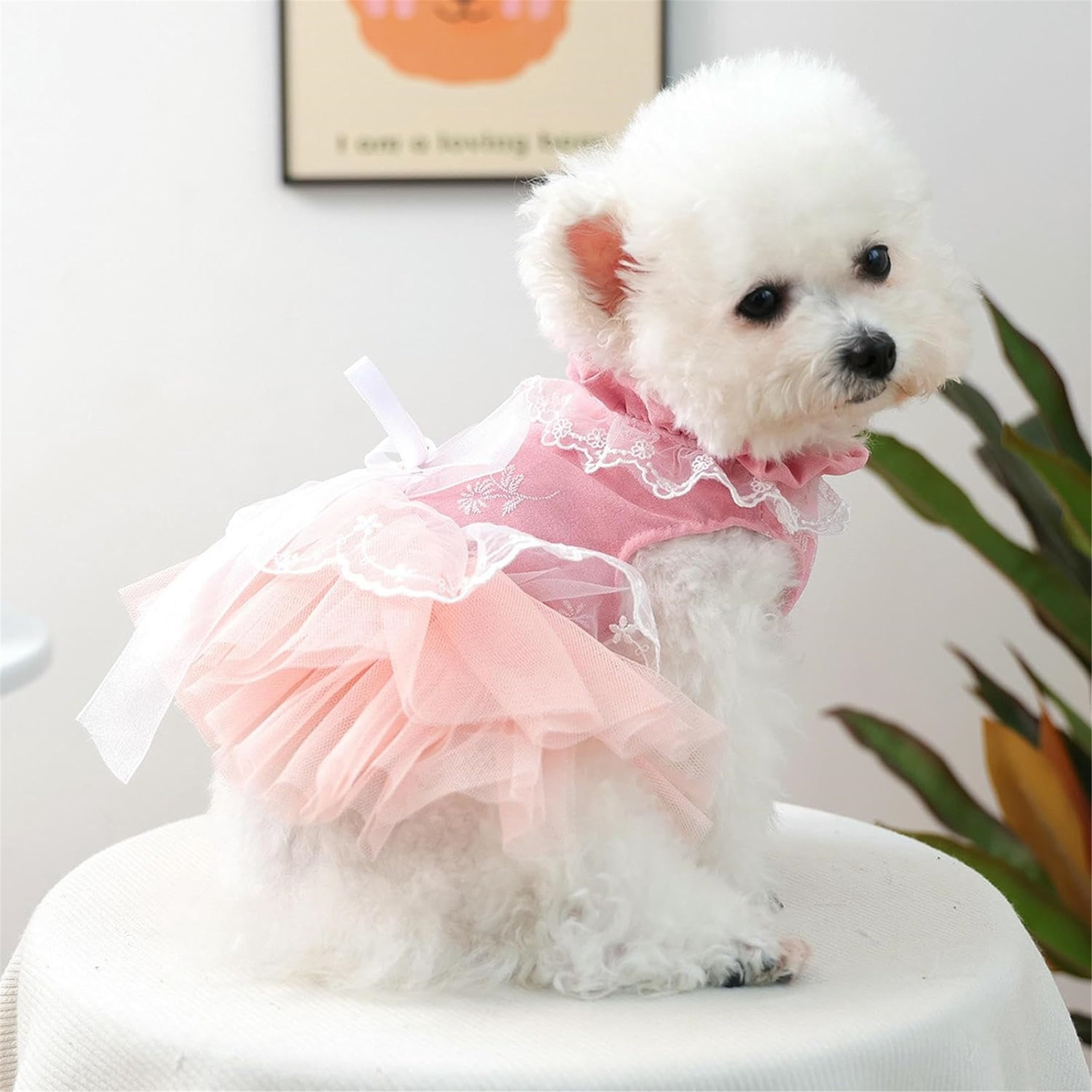 HQREA Dog Princess Dress for Small Dogs Girl Spring Summer Puppy Clothes Pink Tutu Skirt Outfit  for Wedding Birthday