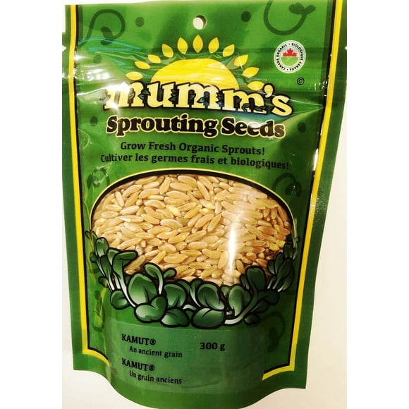 Mumm’s Sprouting Seeds: Kamut (Khorasan Wheat) Microgreen & Sprouting | Large Size: 300 Grams (10.5 oz) | Certified Organic & Non-GMO | High Germination Rate