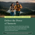 thumbnail image 5 of Gaia Herbs Turmeric Supreme Ache- Helps Provide Relief of Occasional Aches* - with Turmeric Curcumin, Black Pepper, Devil’s Claw, Ginger, Feverfew & More - 60 Liquid Phyto-Capsules(30-Day Supply), 5 of 9