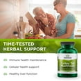 thumbnail image 4 of Swanson Turkey Tail Mushroom - Herbal Supplement Promoting Immune System & Cellular Health - Natural Formula Promoting Liver Function & Defense - (120 Capsules, 500 mg), 4 of 7