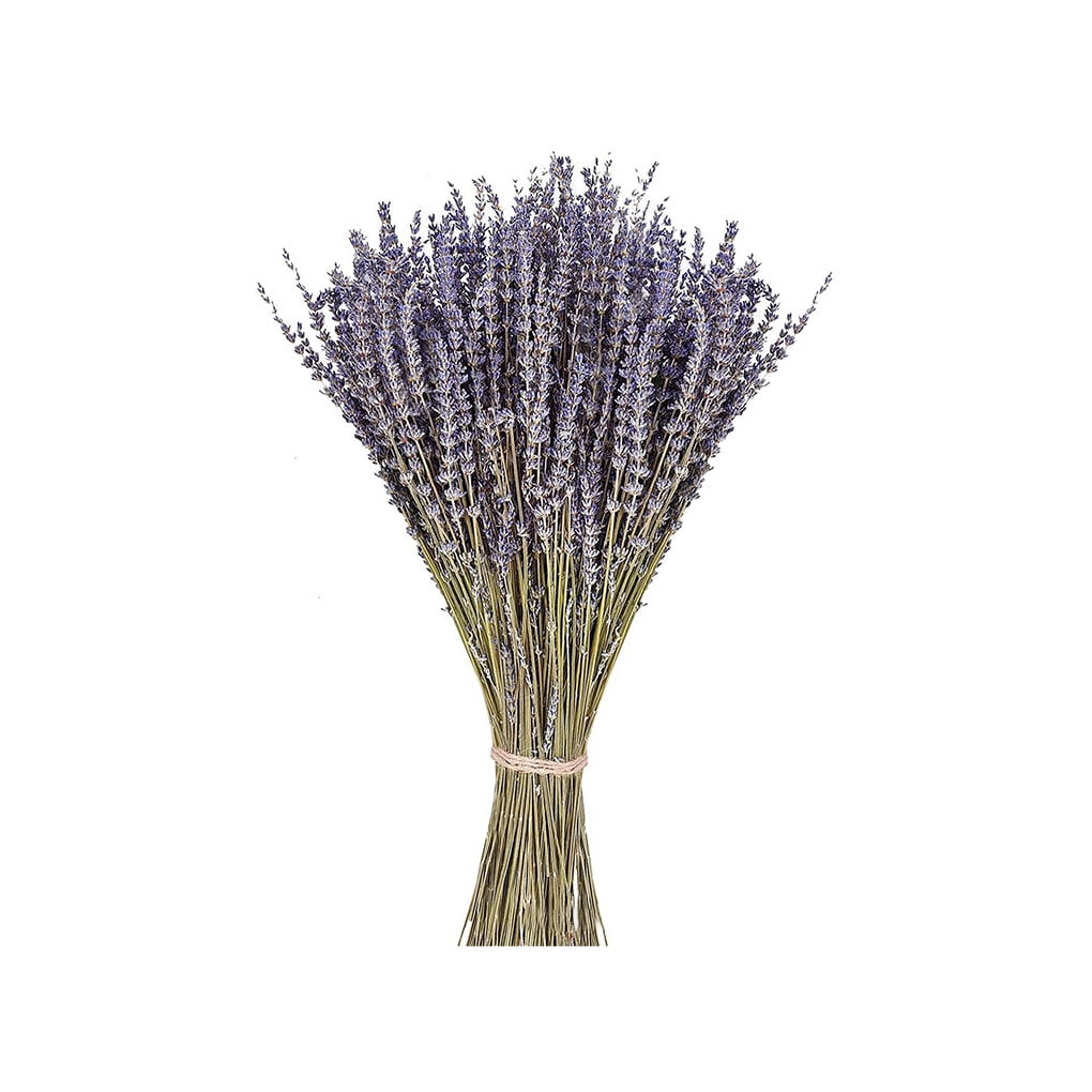 TureClos Natural Dried Lavender Bundles Lightweight Harvested Lavenders