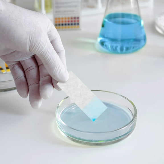 Pawsdot 200Pcs Test Paper Chromatography Filter Papers for Scientific Experiments