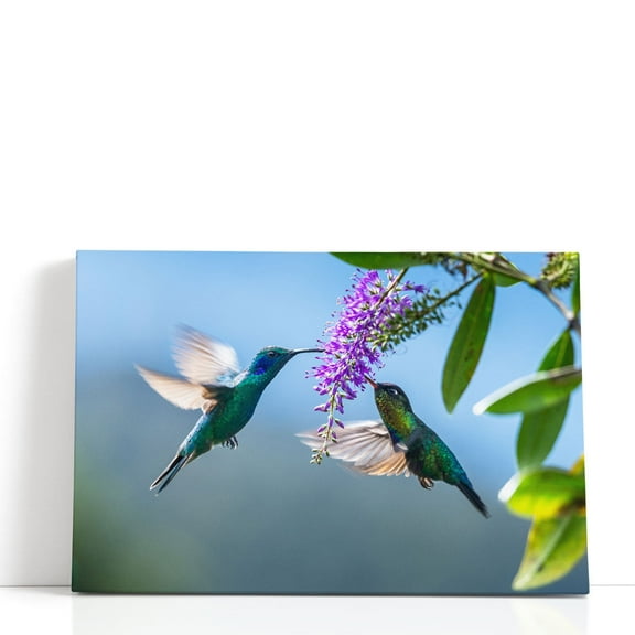 Green Hermit a Rare Hummingbird - Wrapped Canvas Print Wall Art | 18" W x 12" H