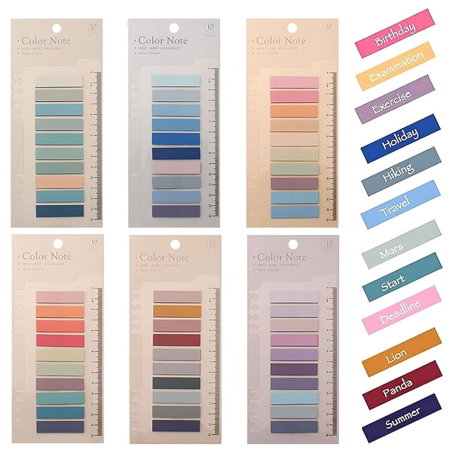 Paquete de 6 pestañas adhesivas, pestañas de índice con regla, marcadores de páginas de colores que se pueden escribir y reposicionar, marcadores de páginas de notas de colores Morandi translúcidos,