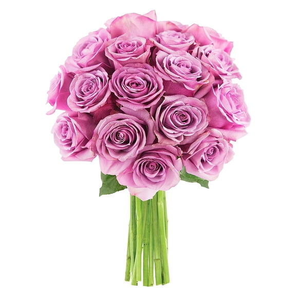 KaBloom : 18 Lavender Roses, 3 Greens, Next-Day Delivery, Gift for Every Occasion.