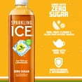 thumbnail image 3 of Sparkling Ice Tea Lemonade, 3 of 6