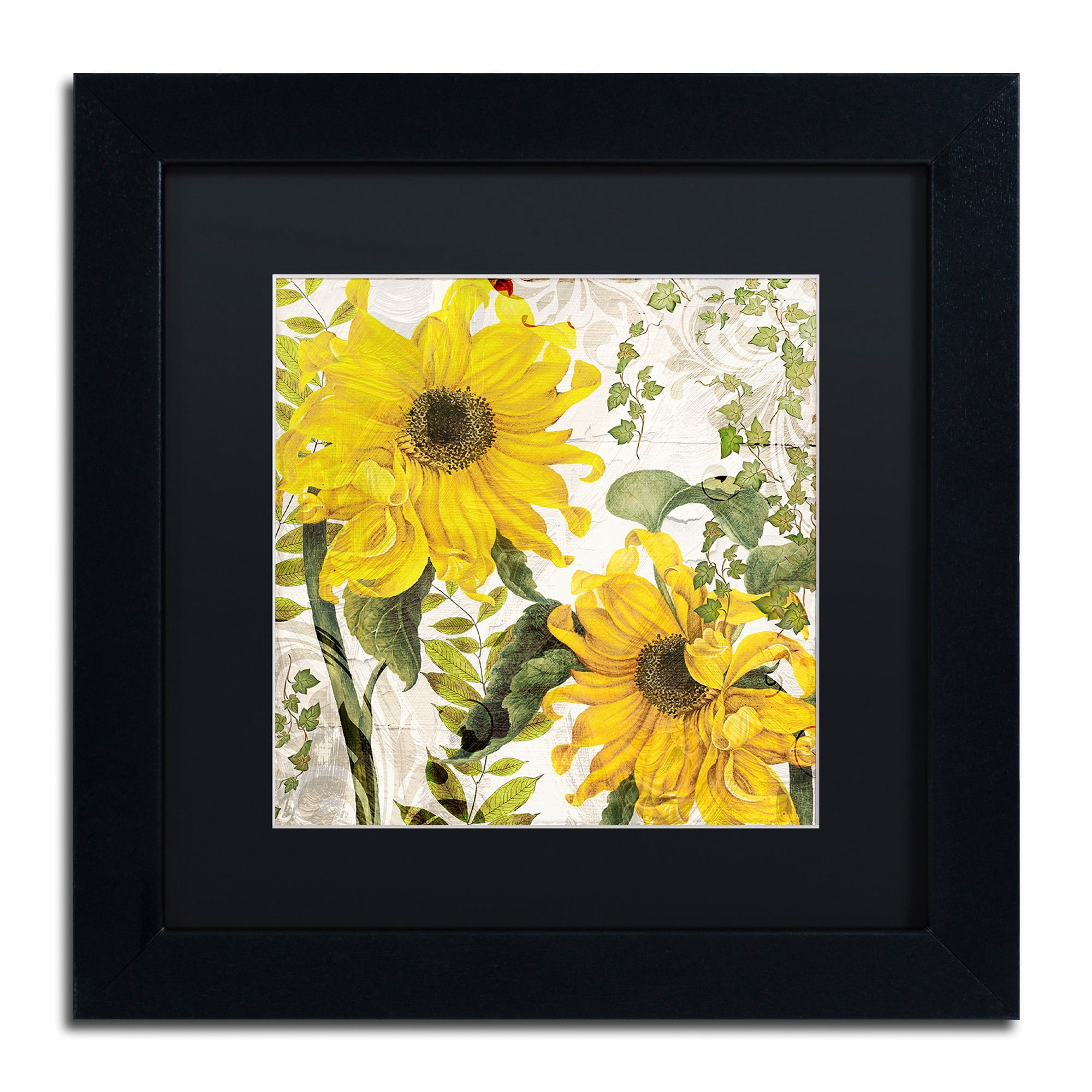 Trademark Fine Art "Carina I" Canvas Art by Color Bakery, Black Matte, Black Frame