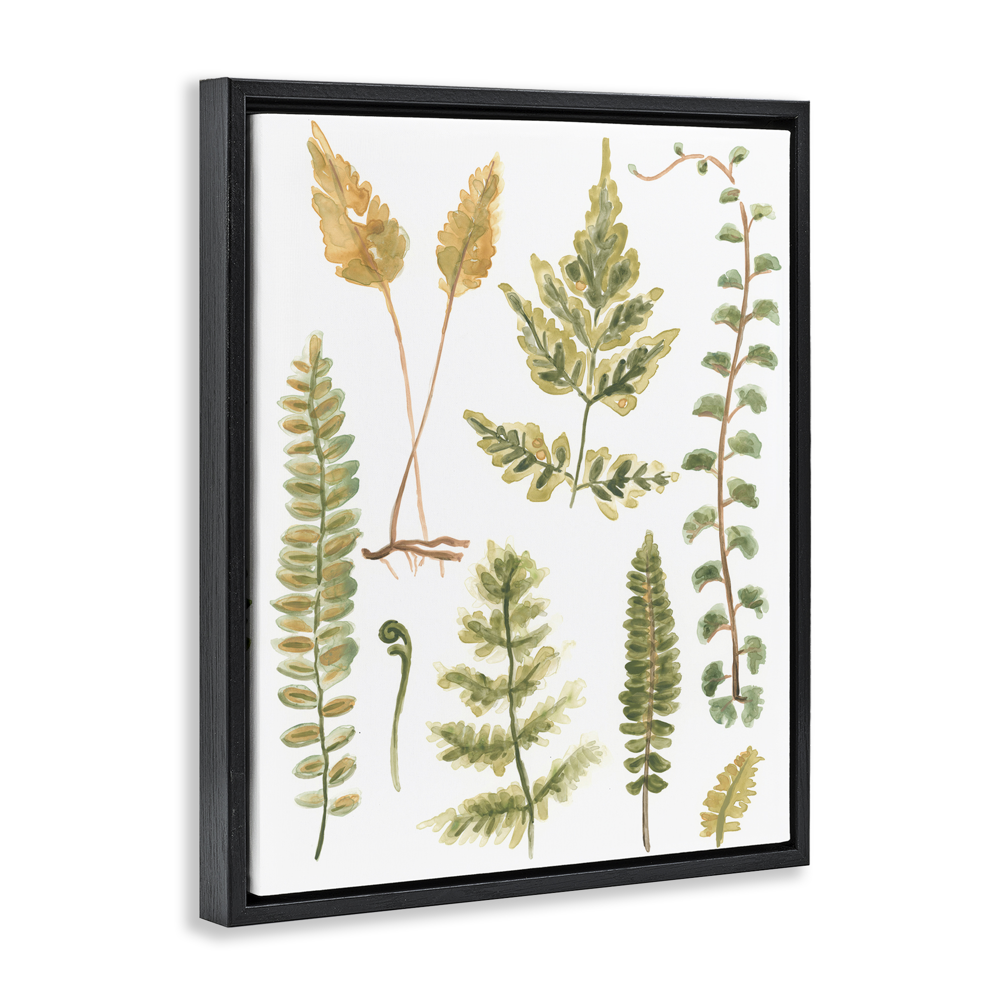 Stupell Industries Varied Fern Leaves Botanical & Floral Painting Black Floater Framed Art Print Wall Art, 25 x 31