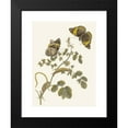 thumbnail image 2 of Maria Sibylla Merian 15x18 Black Modern Framed Museum Art Print Titled - Sleepljes (1705), 2 of 5