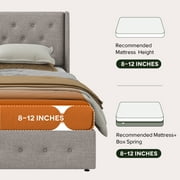 Einfach Queen Size Lift up Platform Storage Bed Frame with Fabric Upholstered Wingback Button Tufted Headboard, Beige
