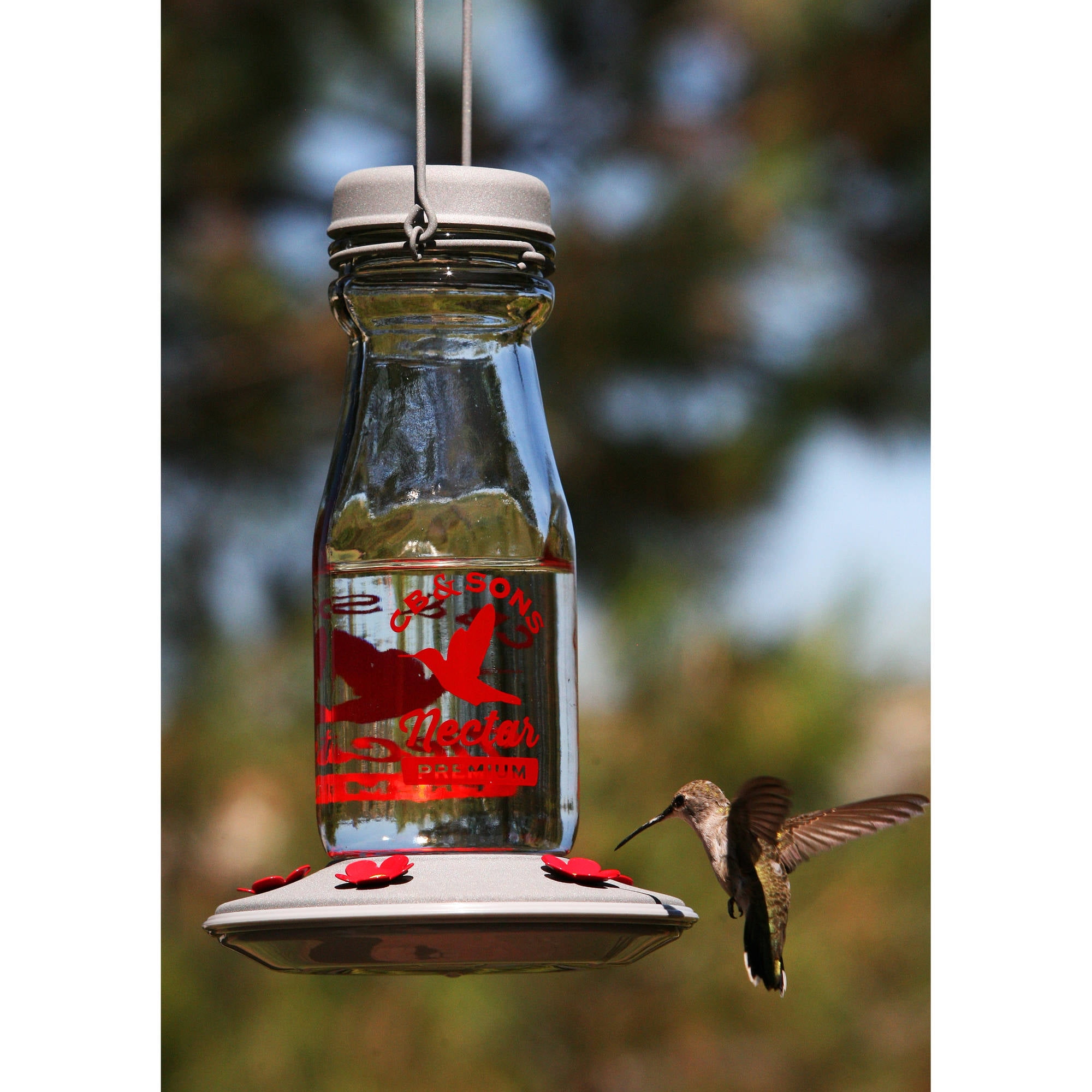 More Birds 67 9 26 18 Oz 5 Port Silver Jersey Hummingbird Feeder