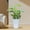 White, variant on Colaxi Plant Pot Self Watering Flower Pot Versatile Lightweight with Drainage Holes 10.7inch Tall for Indoor Outdoor Accessory Antique