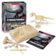 thumbnail image 1 of Kit de excavación de fósiles de dinosaurios DIY para niños, Kit de fósiles de esqueleto de tiranosaurio 3D, Kit de arqueología de dinosaurios para niños, 1 of 7