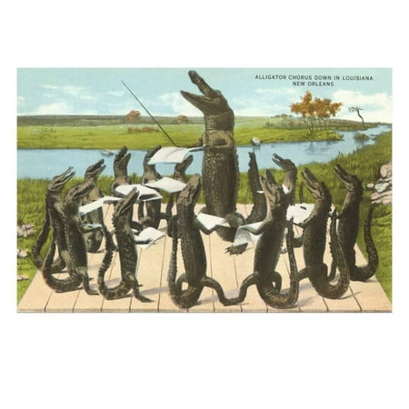 Art Alligator - Alligator Chorus in New Orleans, Louisiana Print Wall Art