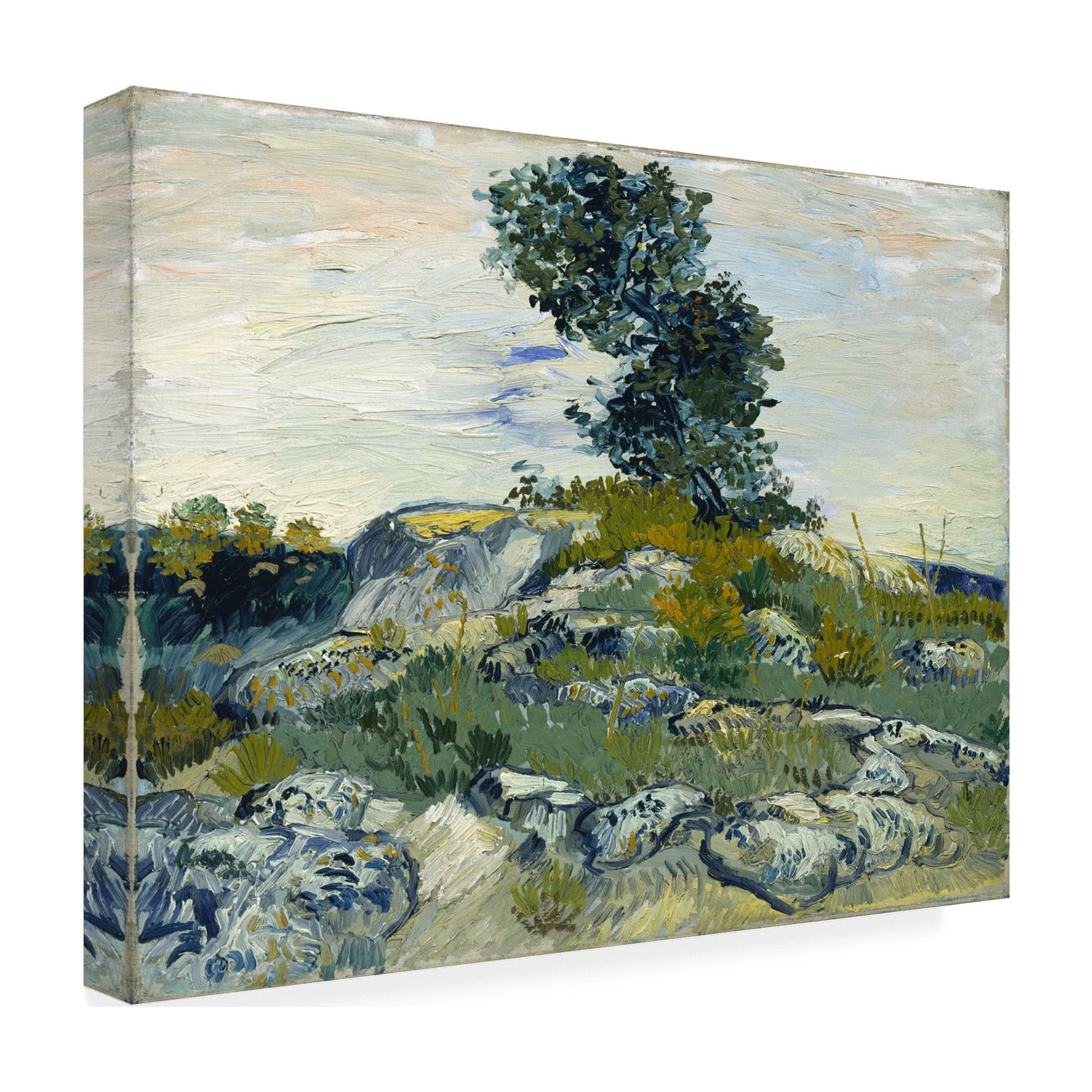 Van Gogh 'The Rocks' Canvas Art