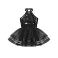 thumbnail image 3 of ranrann Kid Girls Sleeveless Leotard Gymnastics Ballet Dance Tutu Dress Ballerina Ballroom Costumes Black 14, 3 of 7