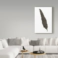thumbnail image 3 of Trademark Fine Art 'Black Feather VI' Canvas Art by Chris Paschke, 3 of 3