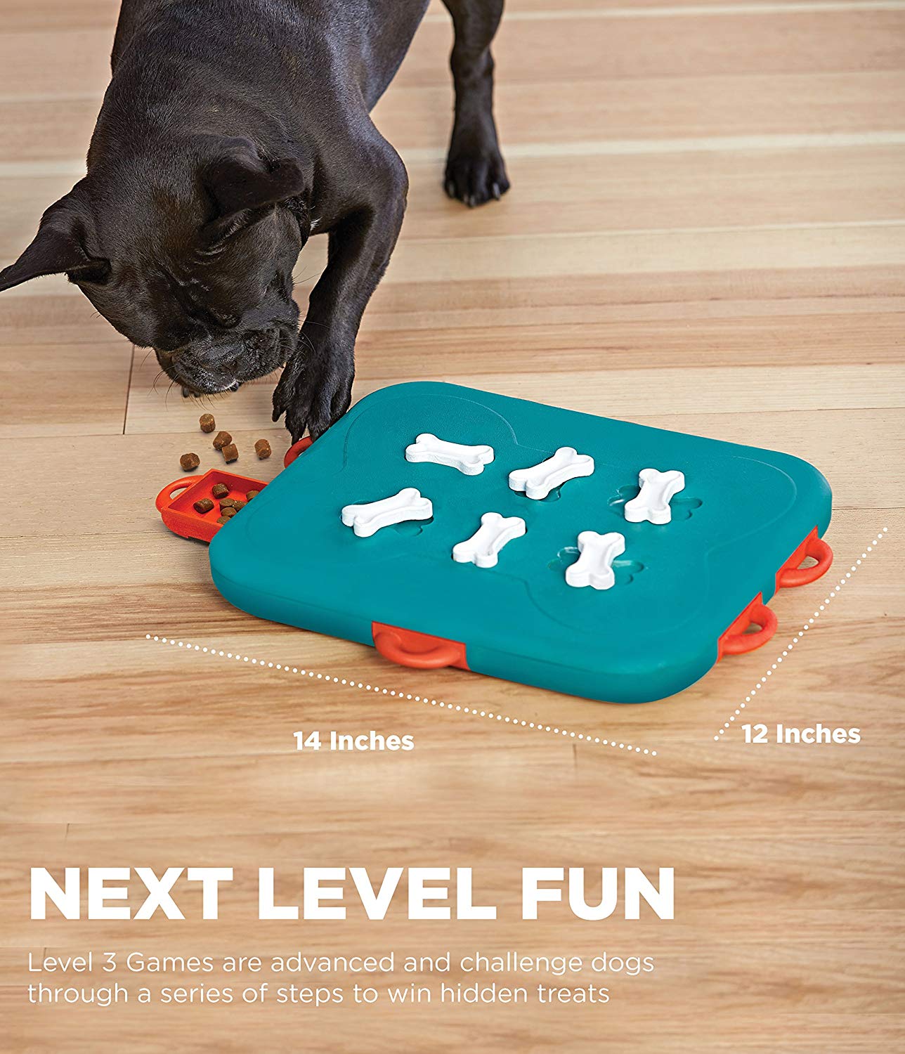 dog casino toy