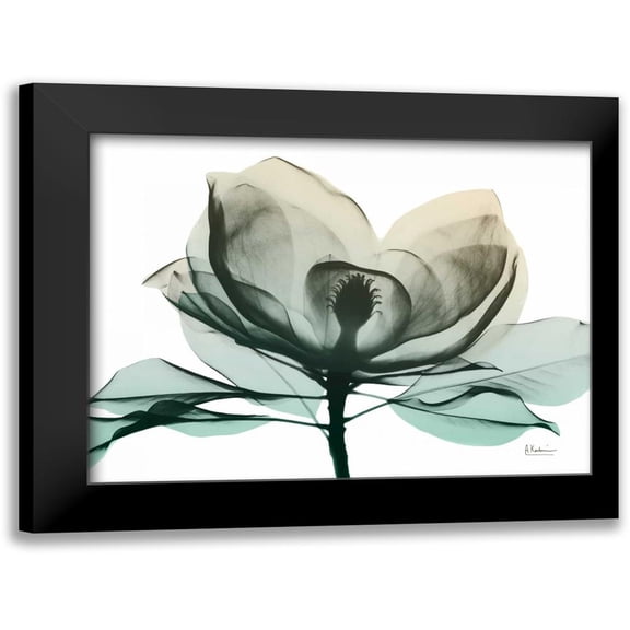 Koetsier, Albert 14x12 Black Modern Framed Museum Art Print Titled - Emerald Magnolia 2