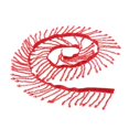 thumbnail image 4 of Cinta decorativa roja de 1 yarda con borlas de cuentas de vidrio y flecos de 55 mm rojo, 4 of 9
