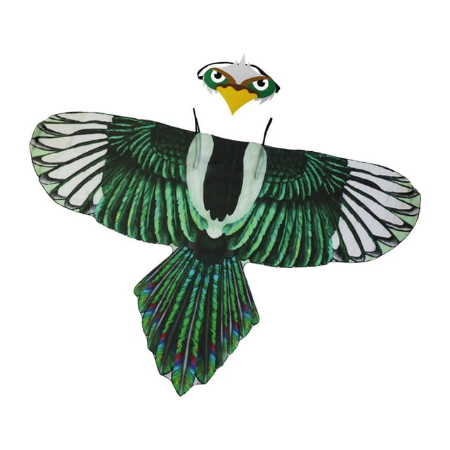 Disfraces de alas de pájaro águila Disfraces de loro Disfraces, Disfraces de animales, Disfraces de Halloween para accesorios teatrales Actuaciones Estilo C Fernando Disfraces de alas de pájaro águila