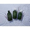 thumbnail image 3 of Tea Tree Shampoo Hydratant à la Lavande et à la Menthe par Paul Mitchell pour Unisexe - Shampooing 33,8 oz, 3 of 5
