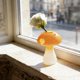 thumbnail image 4 of CaiYueKe Glass Vase for Flowers Small Modern Home Decor Hydroponic Planter Bulb Vase Centerpiece Tabletop Decoration Aromatherapy Terrarium Mini Water Propagation Station for Plants Succulents Herbs, 4 of 7