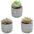thumbnail image 1 of 3pcs simulation succulents potted creative small ornaments artificial green plants, 1 of 5