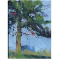 thumbnail image 1 of Pino Gilfach, 1 of 4
