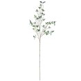 thumbnail image 1 of Hojas de Eucalipto Artificiales Ramitas de Plantas Vivas para Relleno de Jarrones Jardín Oficina Hogar Decoración de Escritorio ANGGREK  Otros, 1 of 8