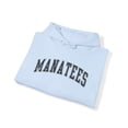 thumbnail image 4 of Manatee Hoodie Gifts Hooded Sweatshirt Pullover Shirt, 4 of 4