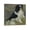 Frame-style, variant on Pierre Auguste Renoir Tama The Japanese Dog Picture Print Canvas Poster Wall Paint Art Posters Decor Modern Home Artworks Gift 16x16inch(40x40cm)