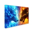 thumbnail image 2 of Trademark Fine Art 'Fire and Ice' Canvas Art by JoJoesArt, 2 of 3