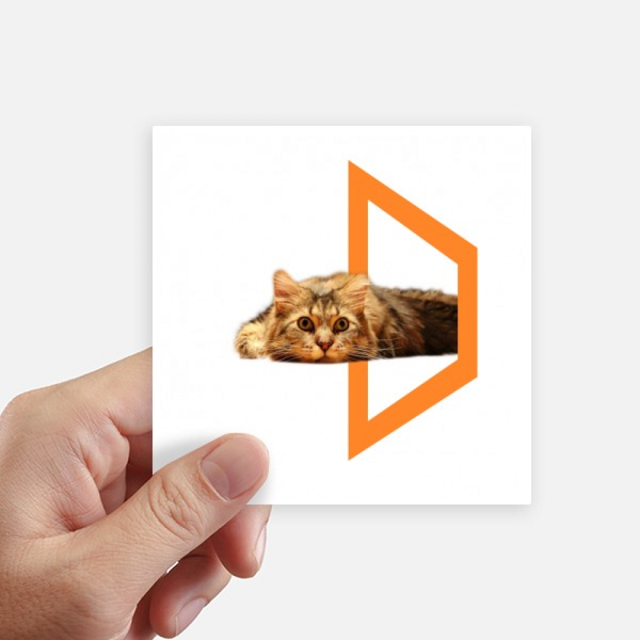 Quadrilateral Cat Lie Sleep Pet Sticker Square Waterproof Stickers Wallpaper Car Decal