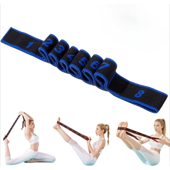 Fitness resistance bands, stylish exercise bands, resistance bands with handles, adjustable 8-segment full-body workout band with markings.